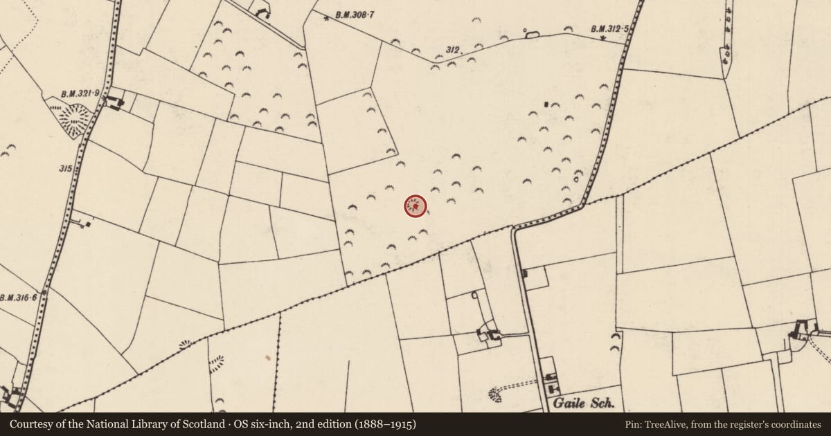 Ordnance Survey six-inch map, 2nd edition (1888–1915) covering the location of Barrow - ring-barrow, Glenbane Upper, County Tipperary South, with a pin at the register's coordinates