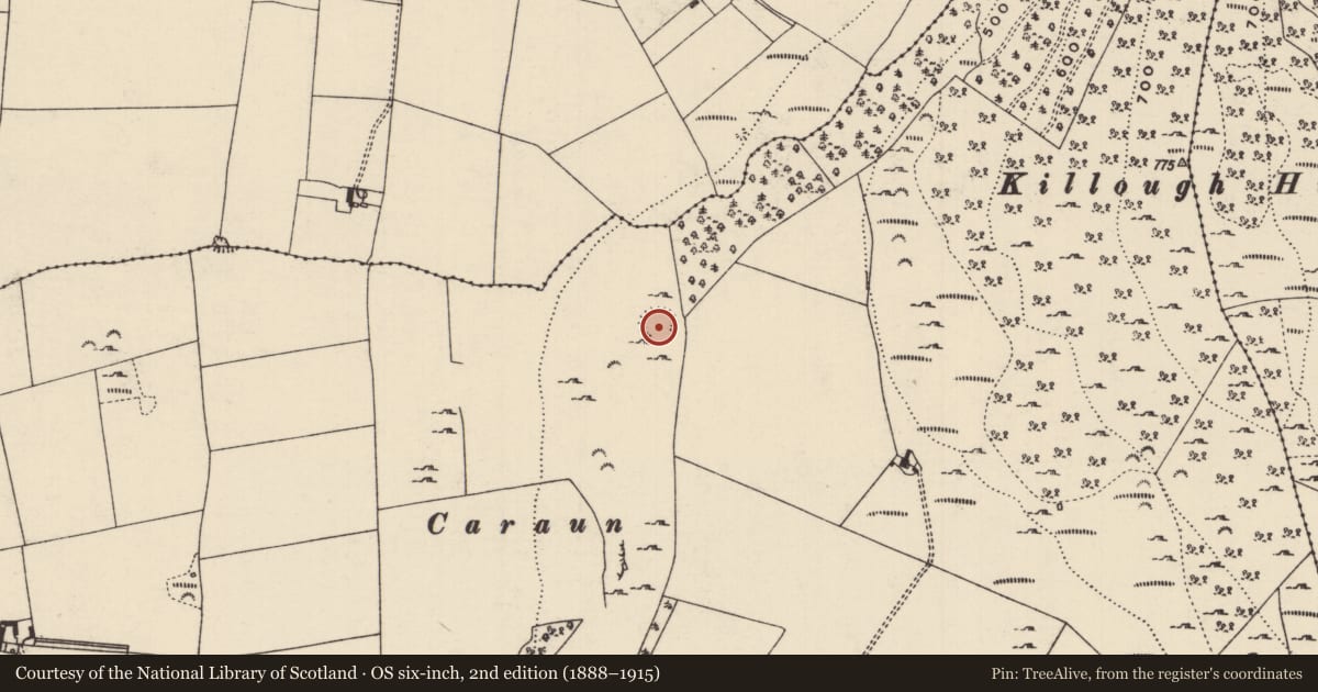 Ordnance Survey six-inch map, 2nd edition (1888–1915) covering the location of Enclosure, Gaile, County Tipperary South, with a pin at the register's coordinates