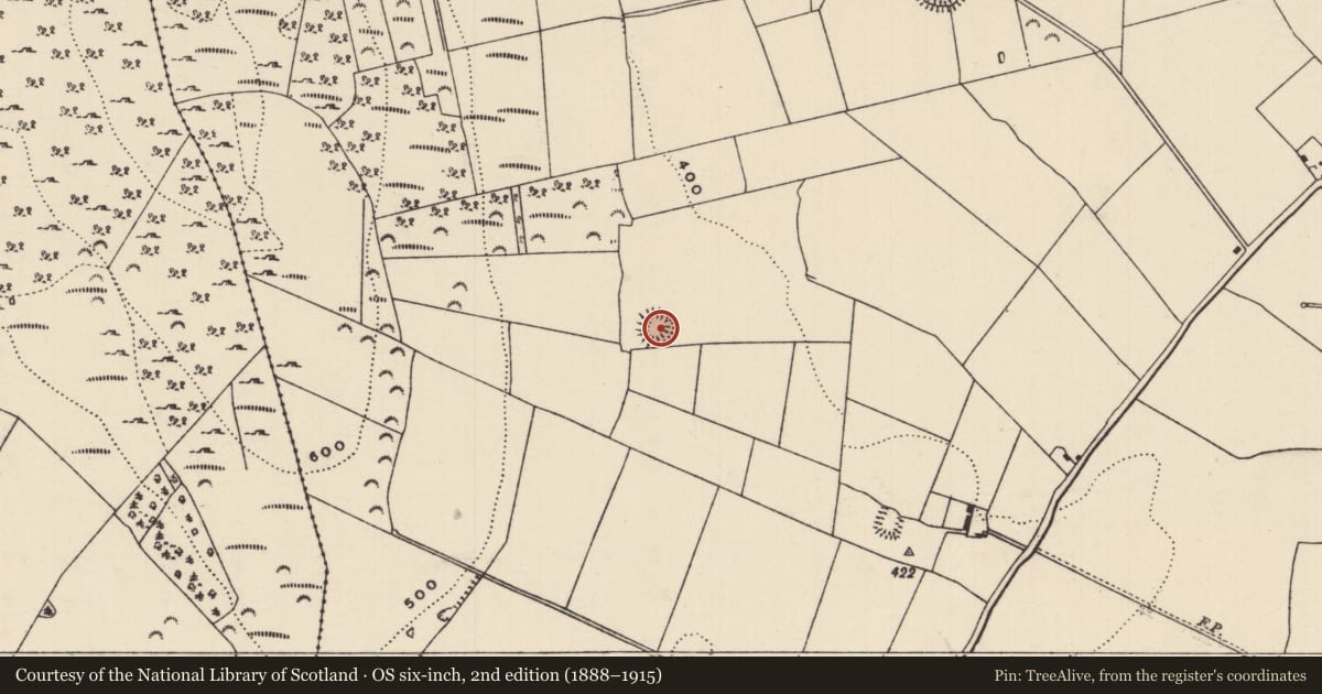 Ordnance Survey six-inch map, 2nd edition (1888–1915) covering the location of Ringfort - rath, Aughnagomaun, County Tipperary South, with a pin at the register's coordinates