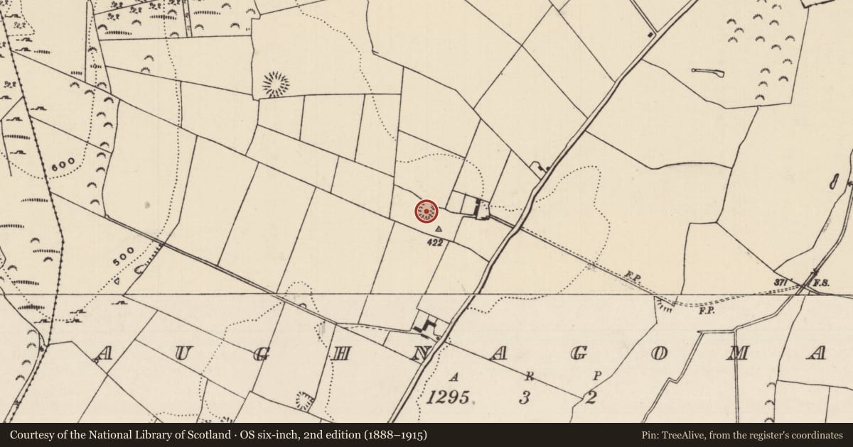 Ordnance Survey six-inch map, 2nd edition (1888–1915) covering the location of Moated site, Aughnagomaun, County Tipperary South, with a pin at the register's coordinates