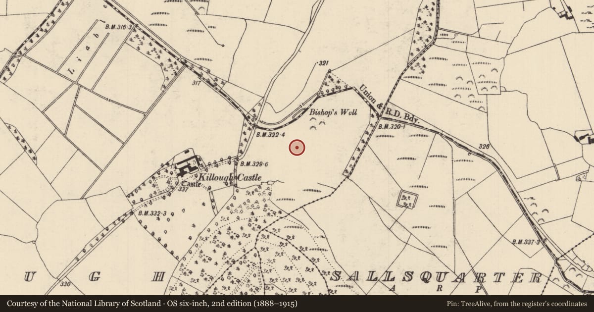 Ordnance Survey six-inch map, 2nd edition (1888–1915) covering the location of Enclosure, Killough (Gaile Par.), County Tipperary South, with a pin at the register's coordinates
