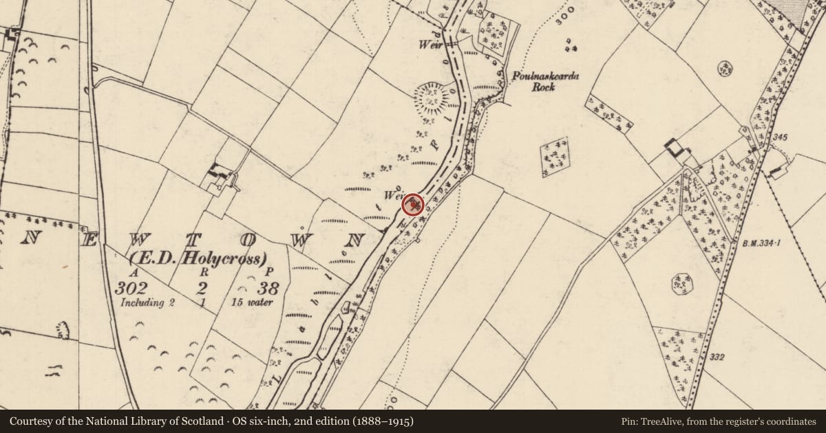 Ordnance Survey six-inch map, 2nd edition (1888–1915) covering the location of Weir - fish, Glenbane Lower, County Tipperary South, with a pin at the register's coordinates
