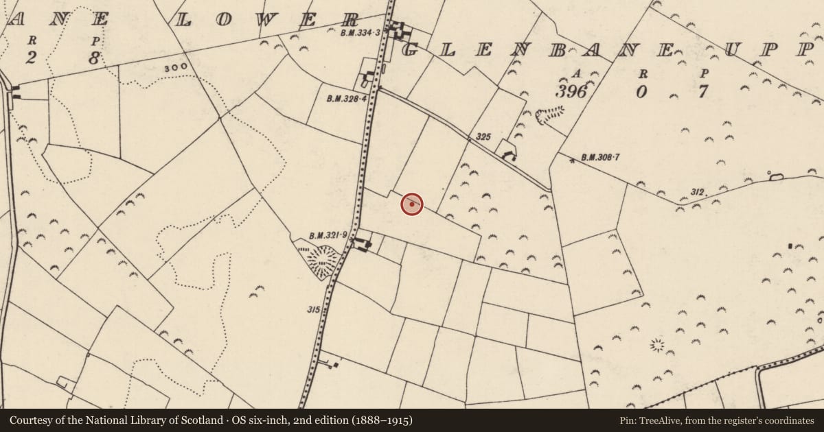 Ordnance Survey six-inch map, 2nd edition (1888–1915) covering the location of Enclosure, Glenbane Upper, County Tipperary South, with a pin at the register's coordinates