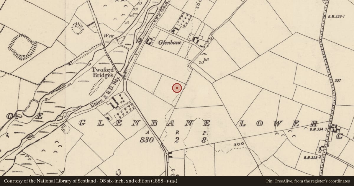 Ordnance Survey six-inch map, 2nd edition (1888–1915) covering the location of Enclosure, Glenbane Lower, County Tipperary South, with a pin at the register's coordinates