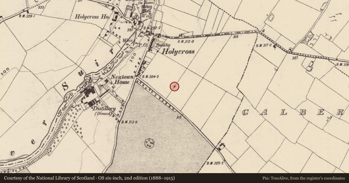 Ordnance Survey six-inch map, 2nd edition (1888–1915) covering the location of Enclosure, Graiguenoe, County Tipperary South, with a pin at the register's coordinates