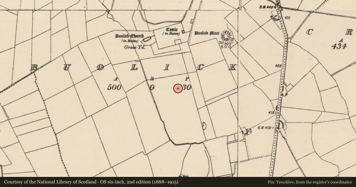 Ordnance Survey six-inch map, 2nd edition (1888–1915) covering the location of Settlement deserted - medieval, Buolick, County Tipperary South, with a pin at the register's coordinates
