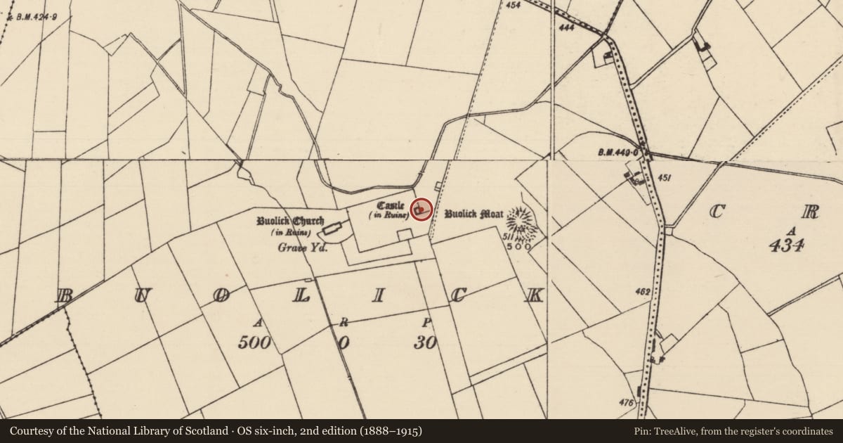 Ordnance Survey six-inch map, 2nd edition (1888–1915) covering the location of Castle - tower house, Buolick, County Tipperary South, with a pin at the register's coordinates