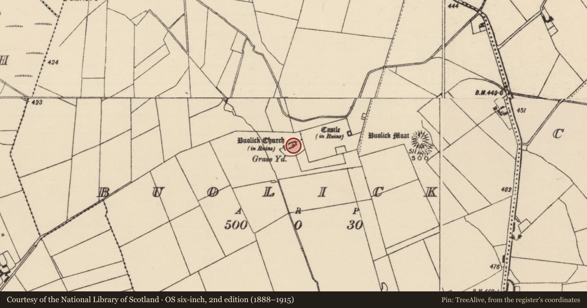 Ordnance Survey six-inch map, 2nd edition (1888–1915) covering the location of Church, Buolick, County Tipperary South, with a pin at the register's coordinates