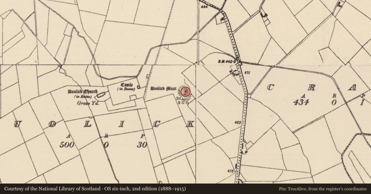 Ordnance Survey six-inch map, 2nd edition (1888–1915) covering the location of Castle - ringwork and bailey, Buolick, County Tipperary South, with a pin at the register's coordinates