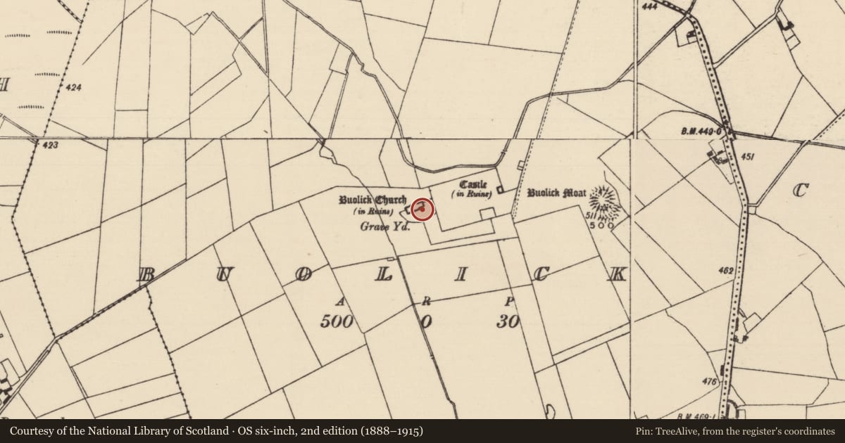 Ordnance Survey six-inch map, 2nd edition (1888–1915) covering the location of Graveyard, Buolick, County Tipperary South, with a pin at the register's coordinates