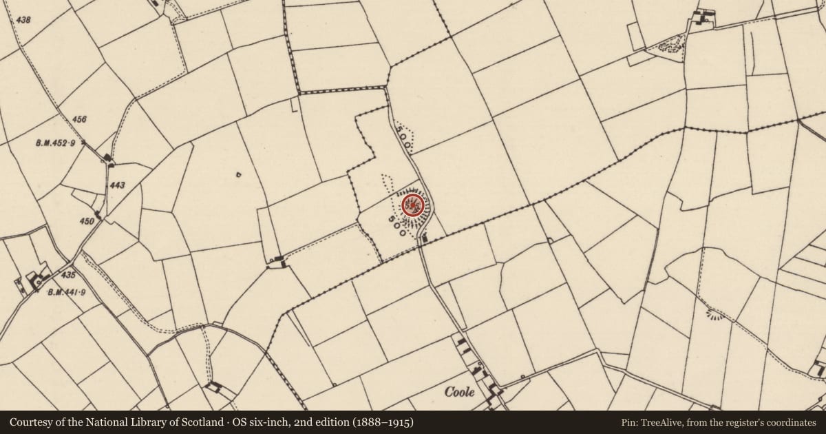 Ordnance Survey six-inch map, 2nd edition (1888–1915) covering the location of Castle - motte, Buolick, County Tipperary South, with a pin at the register's coordinates