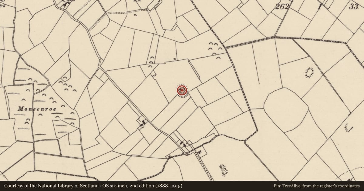 Ordnance Survey six-inch map, 2nd edition (1888–1915) covering the location of Ringfort - rath, Clonoura, County Tipperary South, with a pin at the register's coordinates