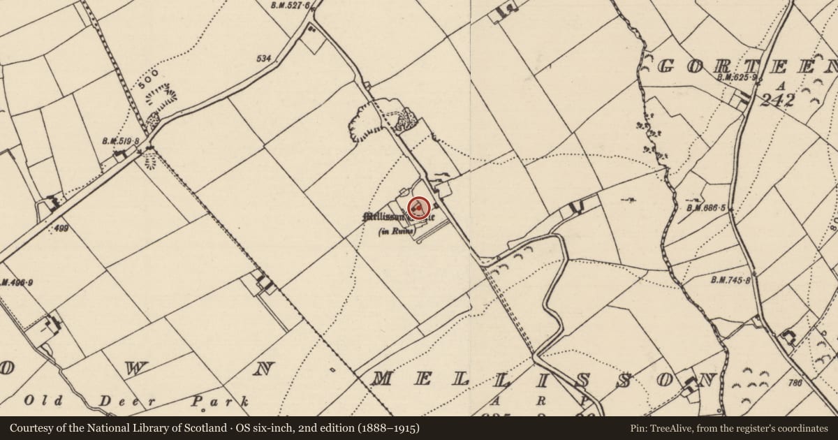 Ordnance Survey six-inch map, 2nd edition (1888–1915) covering the location of Settlement cluster, Mellisson, County Tipperary South, with a pin at the register's coordinates