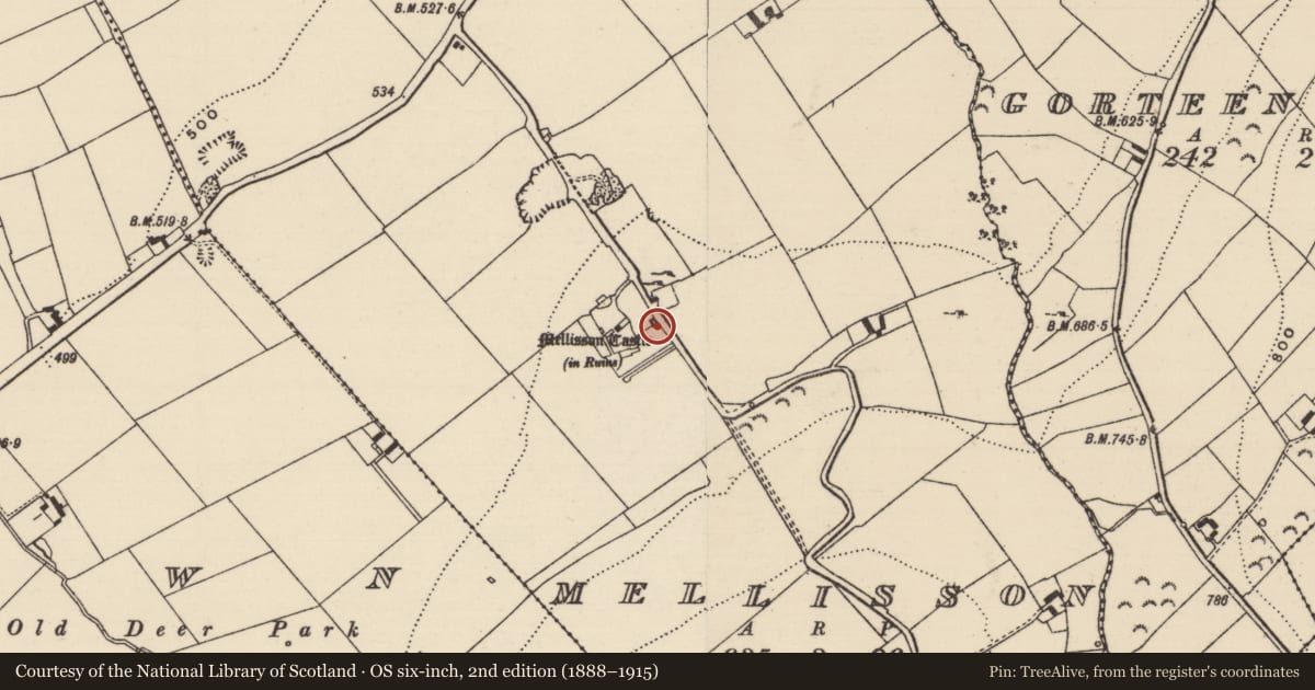 Ordnance Survey six-inch map, 2nd edition (1888–1915) covering the location of Castle - tower house, Mellisson, County Tipperary South, with a pin at the register's coordinates