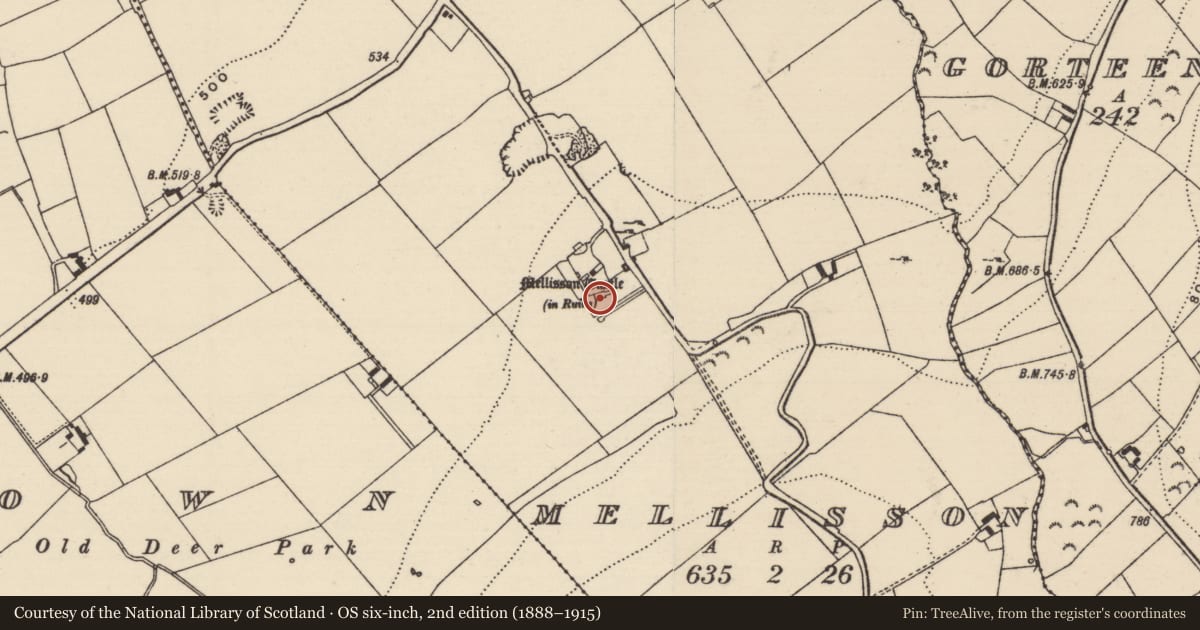 Ordnance Survey six-inch map, 2nd edition (1888–1915) covering the location of Church, Mellisson, County Tipperary South, with a pin at the register's coordinates
