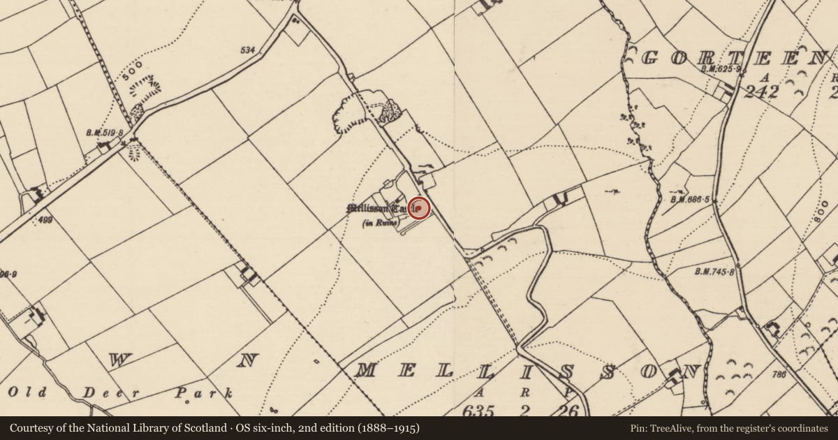 Ordnance Survey six-inch map, 2nd edition (1888–1915) covering the location of Bawn, Mellisson, County Tipperary South, with a pin at the register's coordinates