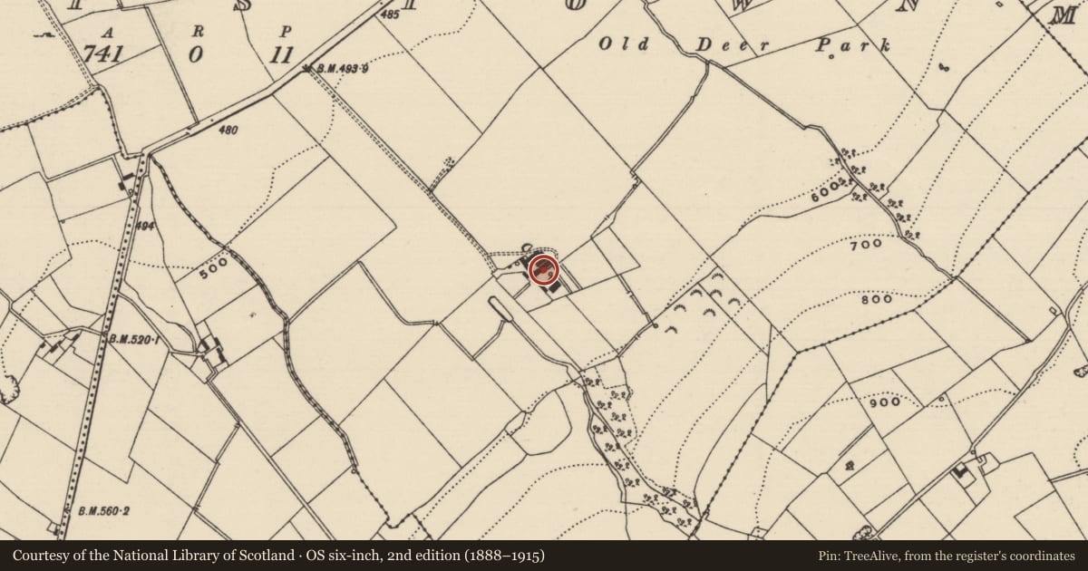 Ordnance Survey six-inch map, 2nd edition (1888–1915) covering the location of Castle - unclassified, Poyntstown (Fennor Par.), County Tipperary South, with a pin at the register's coordinates