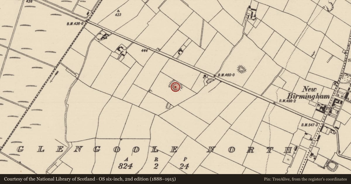Ordnance Survey six-inch map, 2nd edition (1888–1915) covering the location of Ringfort - rath, Glengoole North, County Tipperary South, with a pin at the register's coordinates