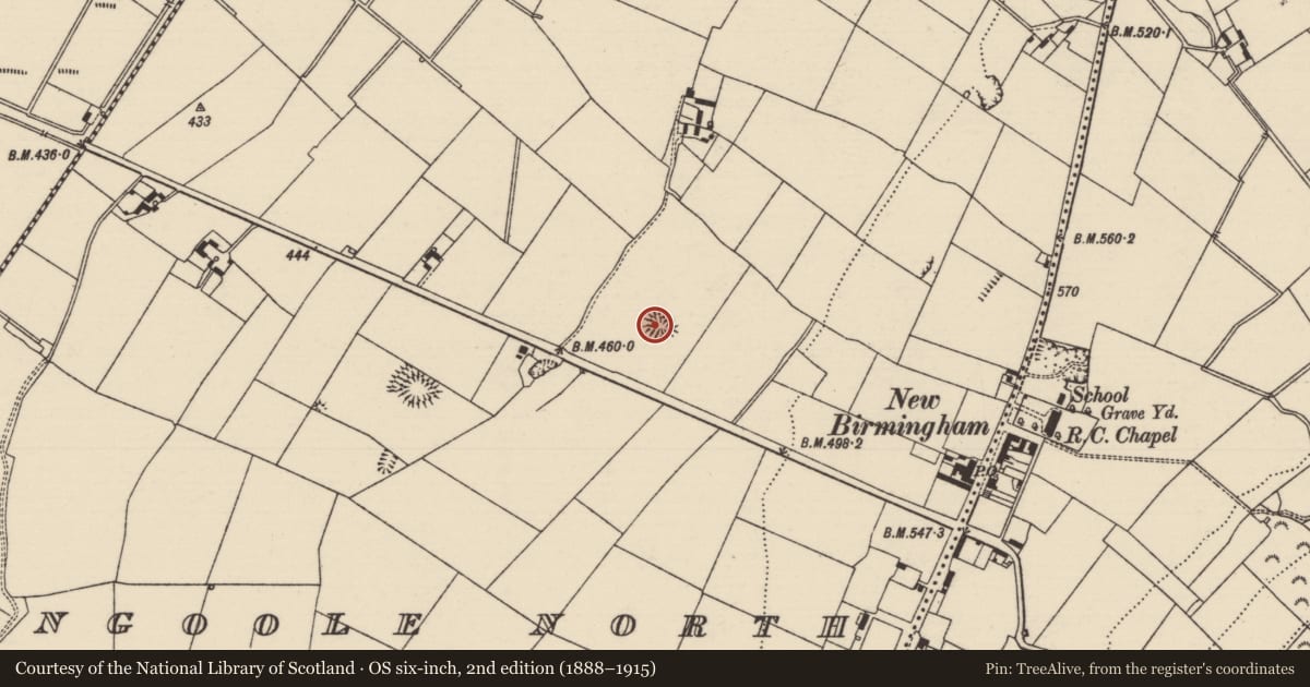 Ordnance Survey six-inch map, 2nd edition (1888–1915) covering the location of Enclosure, Glengoole North, County Tipperary South, with a pin at the register's coordinates