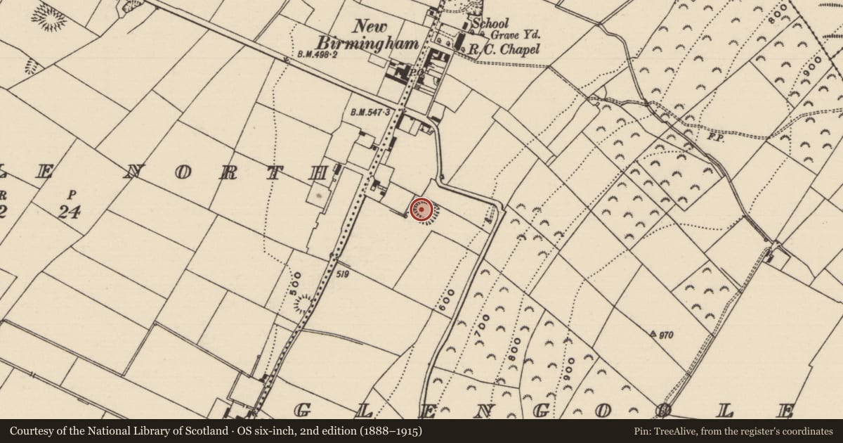 Ordnance Survey six-inch map, 2nd edition (1888–1915) covering the location of Ringfort - rath, Glengoole South, County Tipperary South, with a pin at the register's coordinates