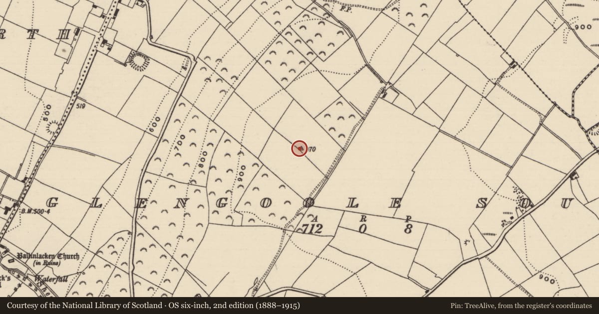 Ordnance Survey six-inch map, 2nd edition (1888–1915) covering the location of Megalithic structure, Glengoole South, County Tipperary South, with a pin at the register's coordinates
