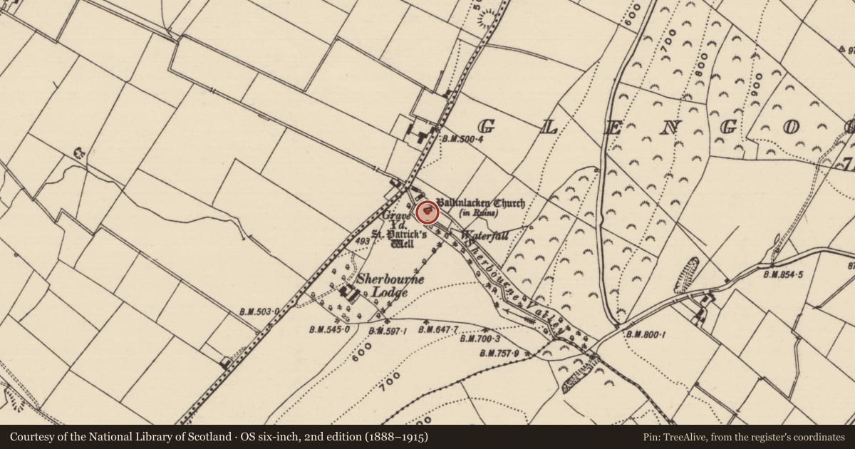 Ordnance Survey six-inch map, 2nd edition (1888–1915) covering the location of Graveyard, Glengoole South, County Tipperary South, with a pin at the register's coordinates