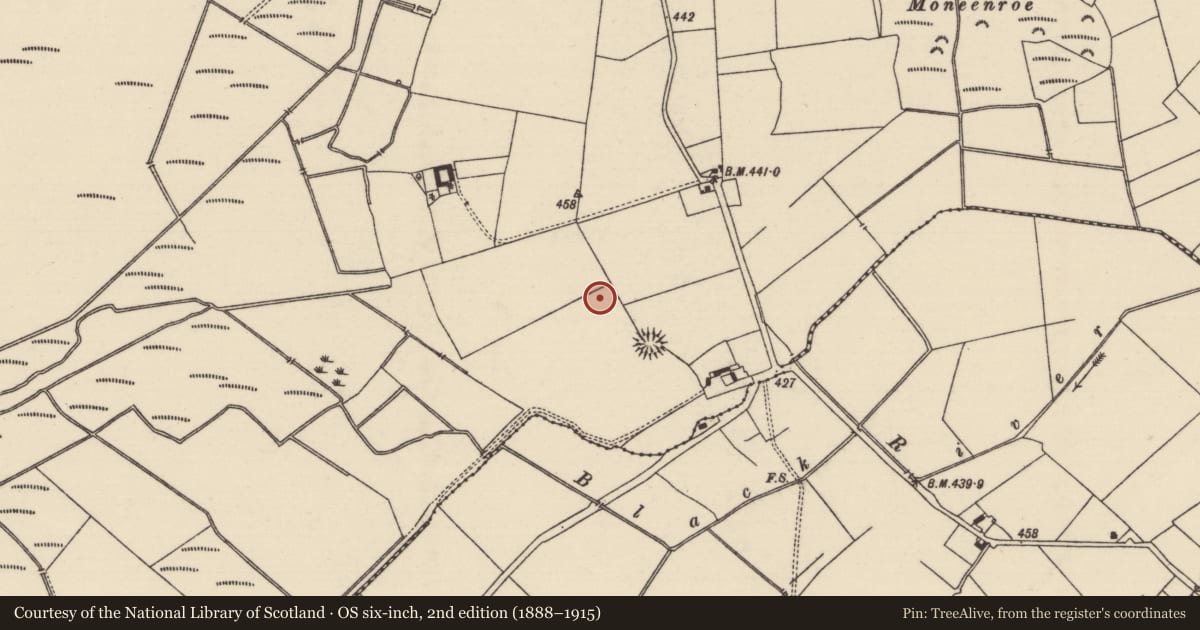 Ordnance Survey six-inch map, 2nd edition (1888–1915) covering the location of Enclosure, Clonoura, County Tipperary South, with a pin at the register's coordinates