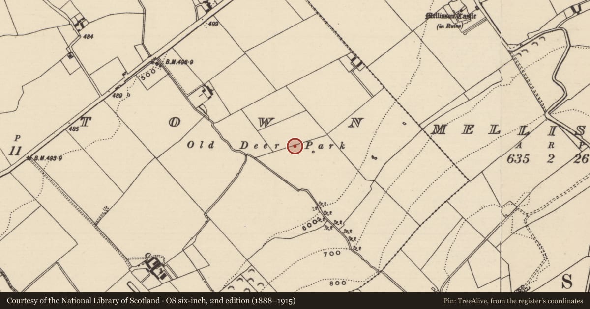 Ordnance Survey six-inch map, 2nd edition (1888–1915) covering the location of Deer park, Poyntstown (Fennor Par.), County Tipperary South, with a pin at the register's coordinates