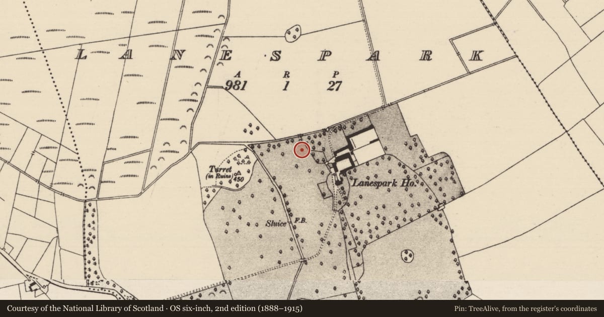 Ordnance Survey six-inch map, 2nd edition (1888–1915) covering the location of Enclosure, Lanespark, County Tipperary South, with a pin at the register's coordinates