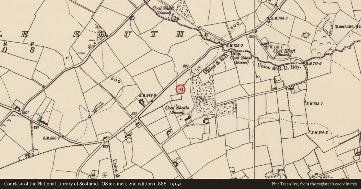 Ordnance Survey six-inch map, 2nd edition (1888–1915) covering the location of Mine, Earlshill, Glengoole South, County Tipperary South, with a pin at the register's coordinates