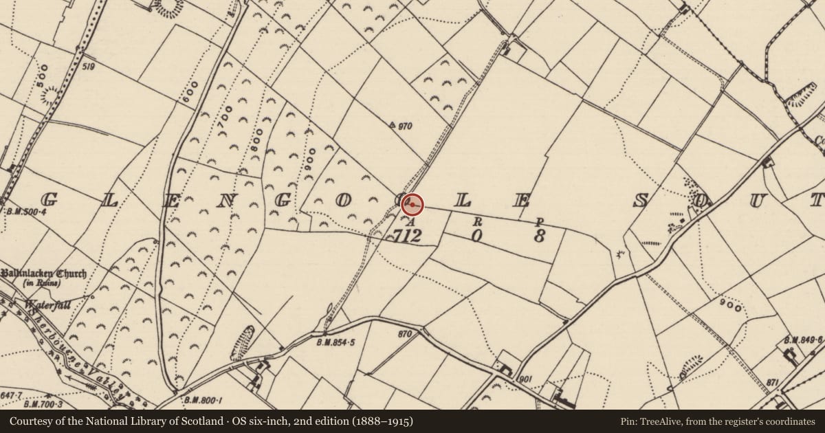 Ordnance Survey six-inch map, 2nd edition (1888–1915) covering the location of Barrow - ring-barrow, Glengoole South, County Tipperary South, with a pin at the register's coordinates