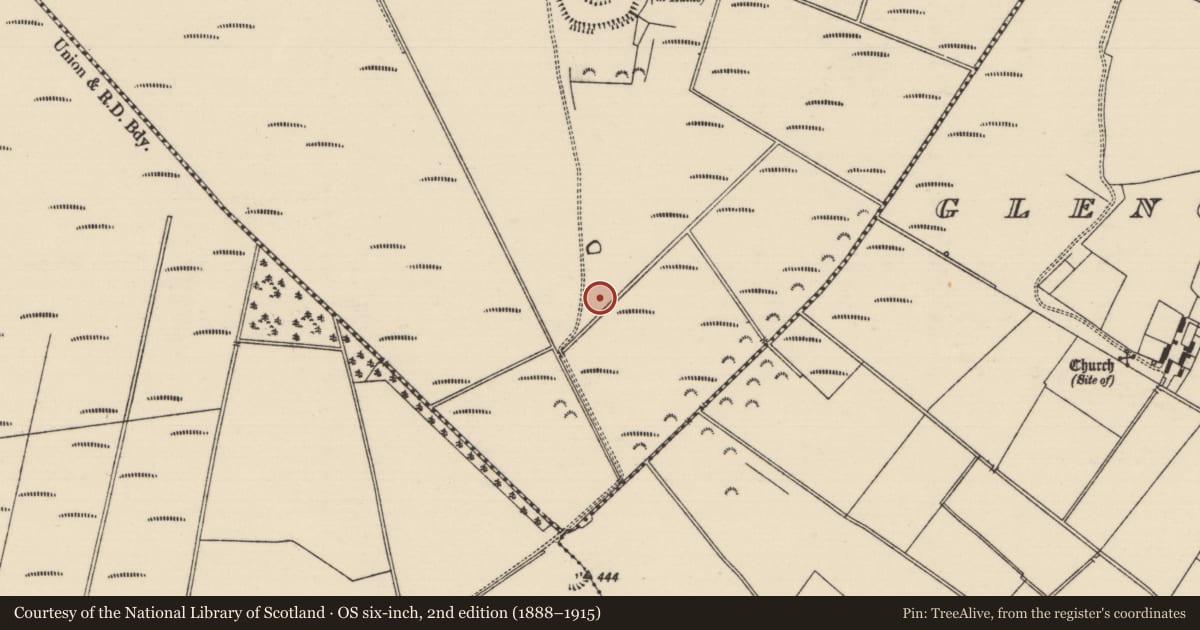 Ordnance Survey six-inch map, 2nd edition (1888–1915) covering the location of Structure - peatland, Derryvella, County Tipperary South, with a pin at the register's coordinates