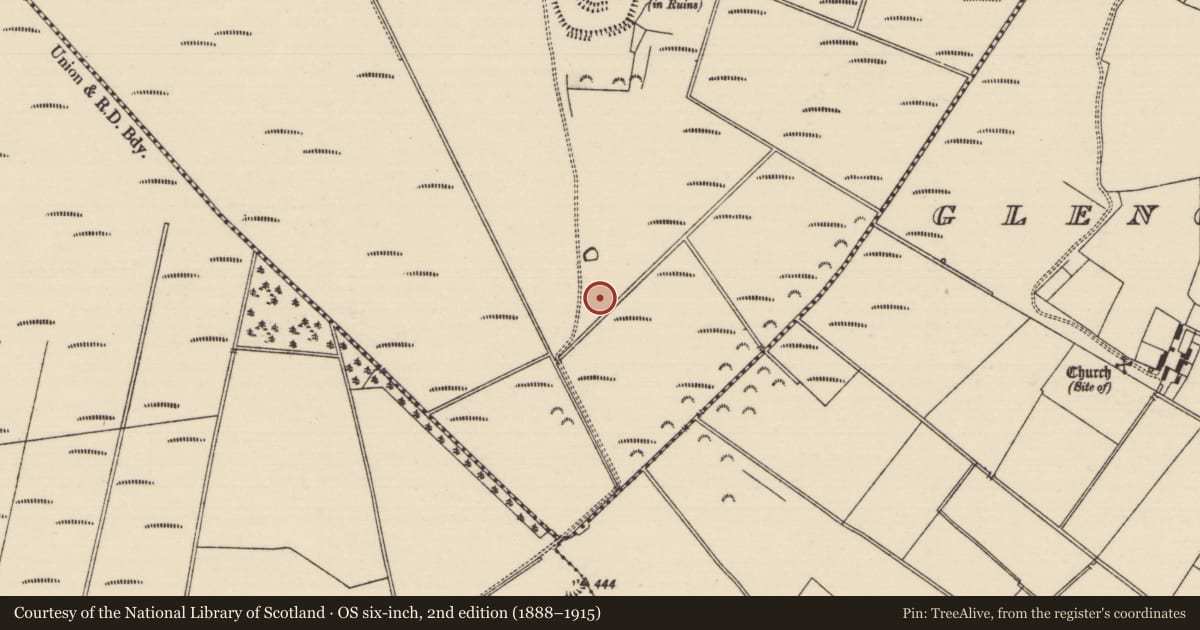 Ordnance Survey six-inch map, 2nd edition (1888–1915) covering the location of Structure - peatland, Derryvella, County Tipperary South, with a pin at the register's coordinates