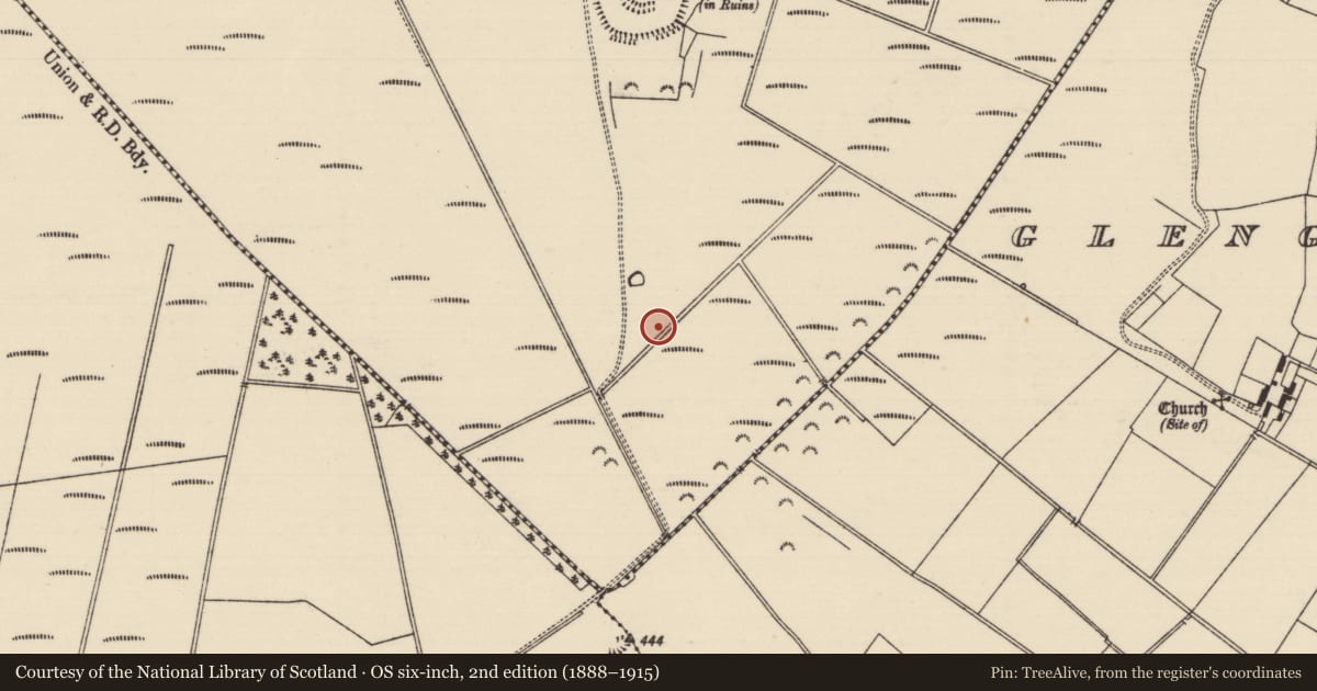 Ordnance Survey six-inch map, 2nd edition (1888–1915) covering the location of Structure - peatland, Derryvella, County Tipperary South, with a pin at the register's coordinates