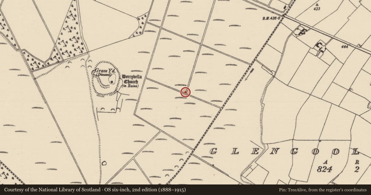 Ordnance Survey six-inch map, 2nd edition (1888–1915) covering the location of Road - class 1 togher, Derryvella, County Tipperary South, with a pin at the register's coordinates