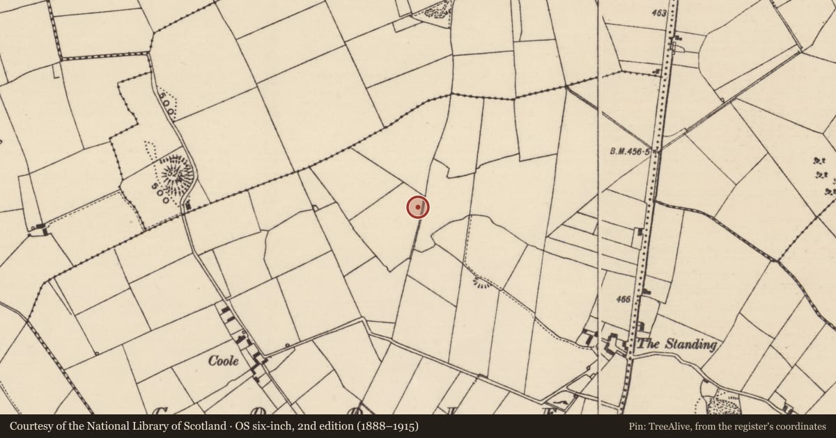 Ordnance Survey six-inch map, 2nd edition (1888–1915) covering the location of Field system, Coole (Buolick Par.), County Tipperary South, with a pin at the register's coordinates