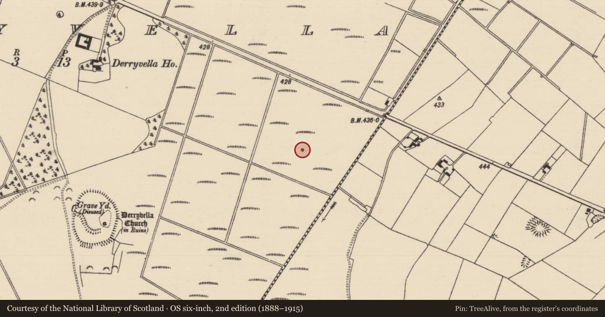 Ordnance Survey six-inch map, 2nd edition (1888–1915) covering the location of Road - class 3 togher, Derryvella, County Tipperary South, with a pin at the register's coordinates