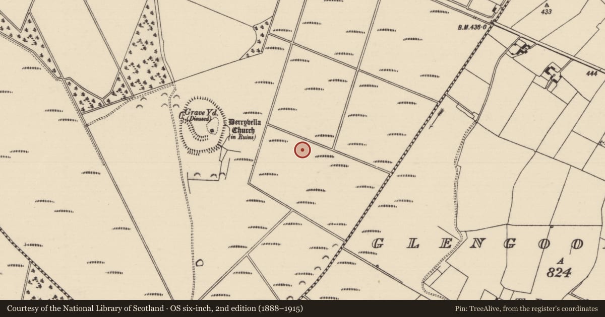 Ordnance Survey six-inch map, 2nd edition (1888–1915) covering the location of Road - class 3 togher, Derryvella, County Tipperary South, with a pin at the register's coordinates