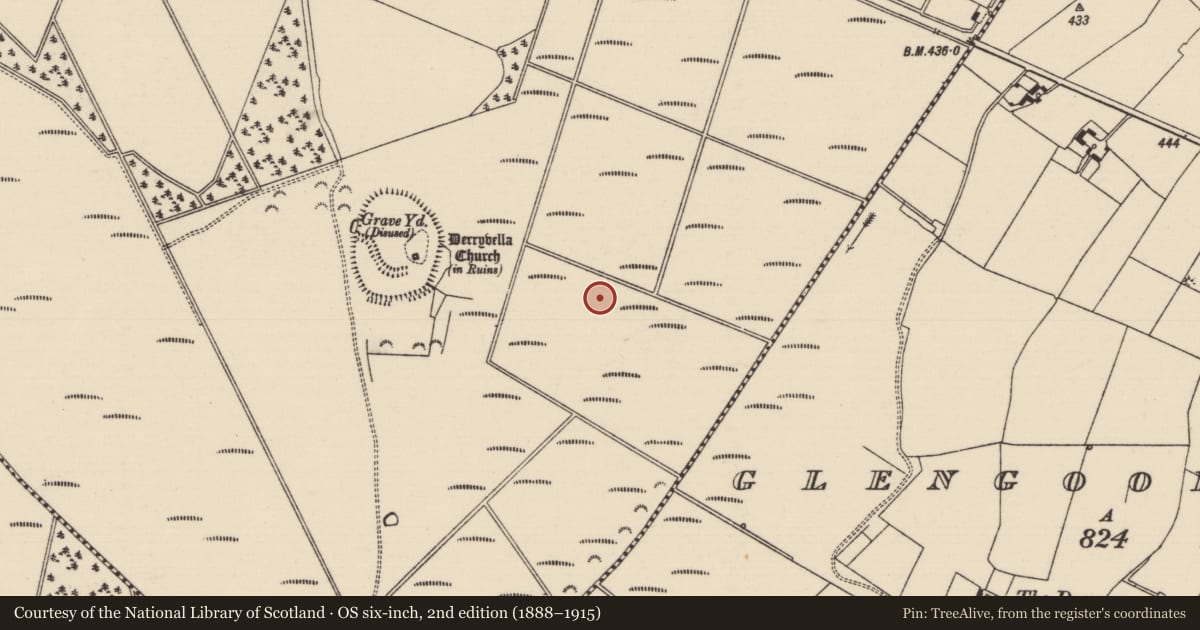 Ordnance Survey six-inch map, 2nd edition (1888–1915) covering the location of Road - class 3 togher, Derryvella, County Tipperary South, with a pin at the register's coordinates