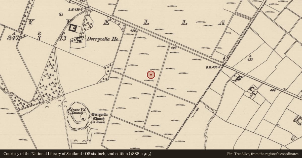 Ordnance Survey six-inch map, 2nd edition (1888–1915) covering the location of Road - unclassified togher, Derryvella, County Tipperary South, with a pin at the register's coordinates