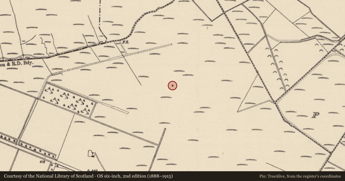 Ordnance Survey six-inch map, 2nd edition (1888–1915) covering the location of Structure - peatland, Derryvella, County Tipperary South, with a pin at the register's coordinates