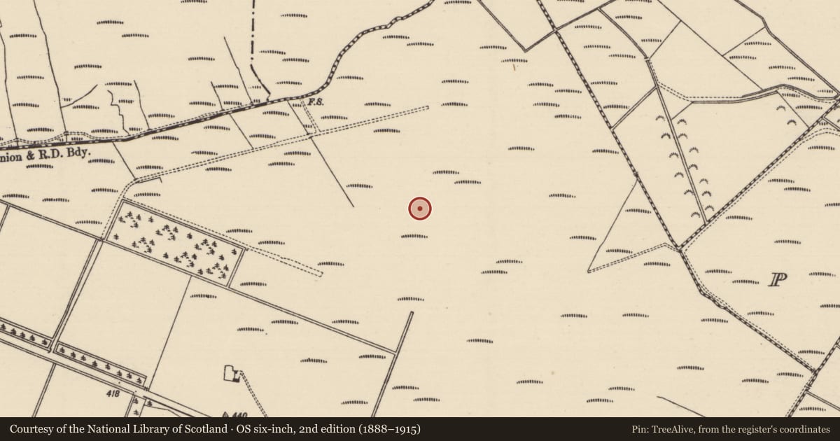 Ordnance Survey six-inch map, 2nd edition (1888–1915) covering the location of Platform - peatland, Derryvella, County Tipperary South, with a pin at the register's coordinates