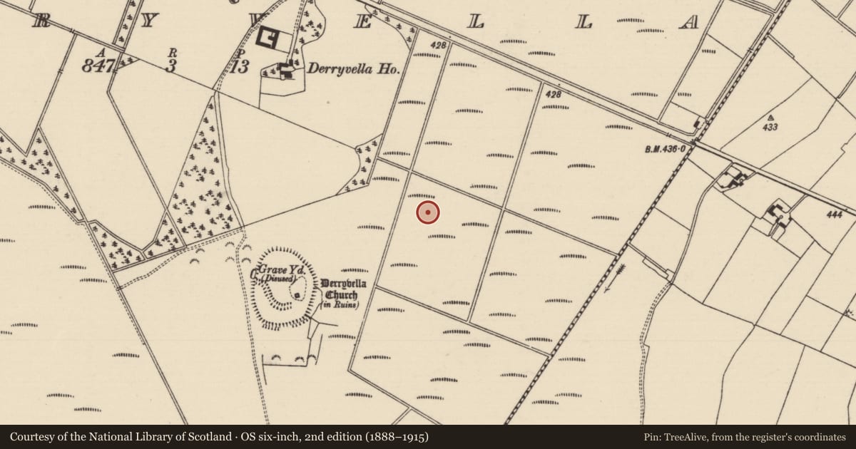 Ordnance Survey six-inch map, 2nd edition (1888–1915) covering the location of Road - unclassified togher, Derryvella, County Tipperary South, with a pin at the register's coordinates