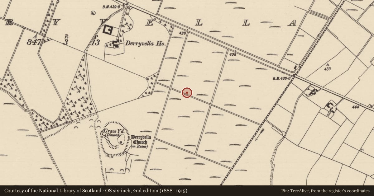 Ordnance Survey six-inch map, 2nd edition (1888–1915) covering the location of Structure - peatland, Derryvella, County Tipperary South, with a pin at the register's coordinates
