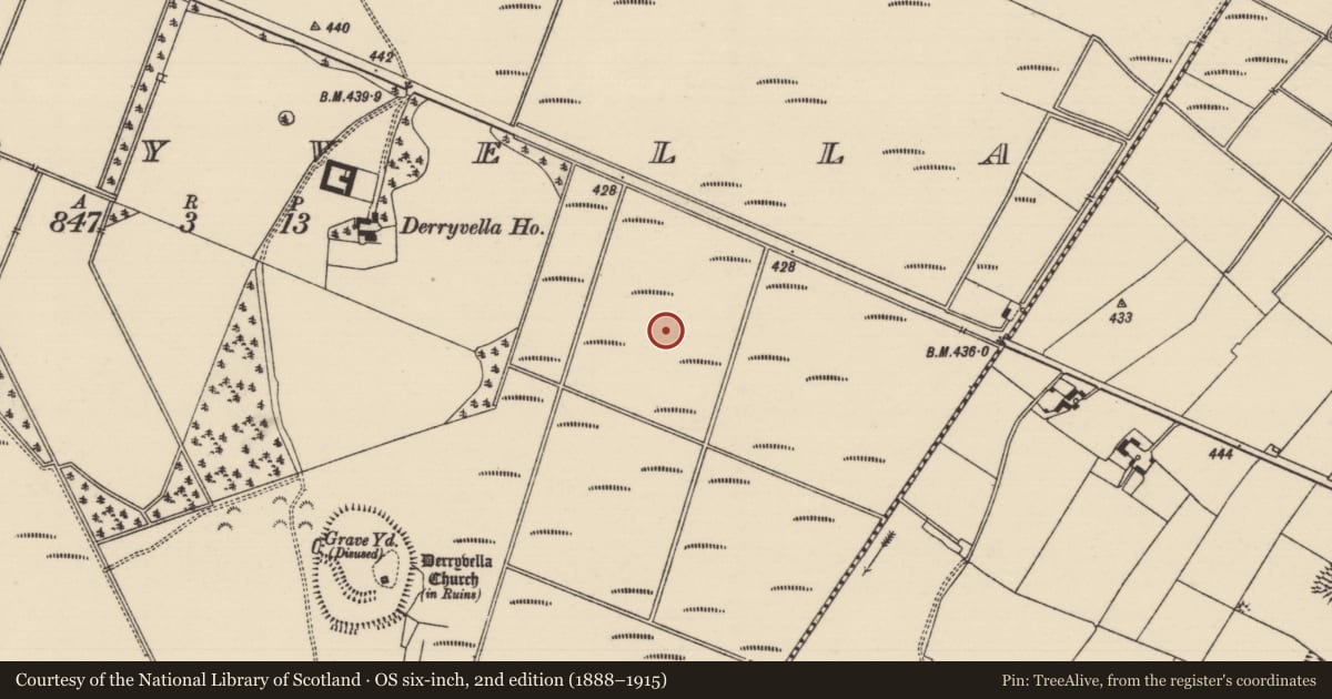 Ordnance Survey six-inch map, 2nd edition (1888–1915) covering the location of Road - class 3 togher, Derryvella, County Tipperary South, with a pin at the register's coordinates
