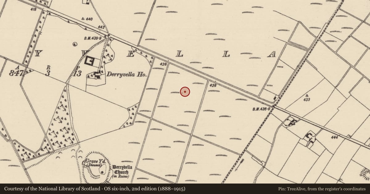 Ordnance Survey six-inch map, 2nd edition (1888–1915) covering the location of Structure - peatland, Derryvella, County Tipperary South, with a pin at the register's coordinates