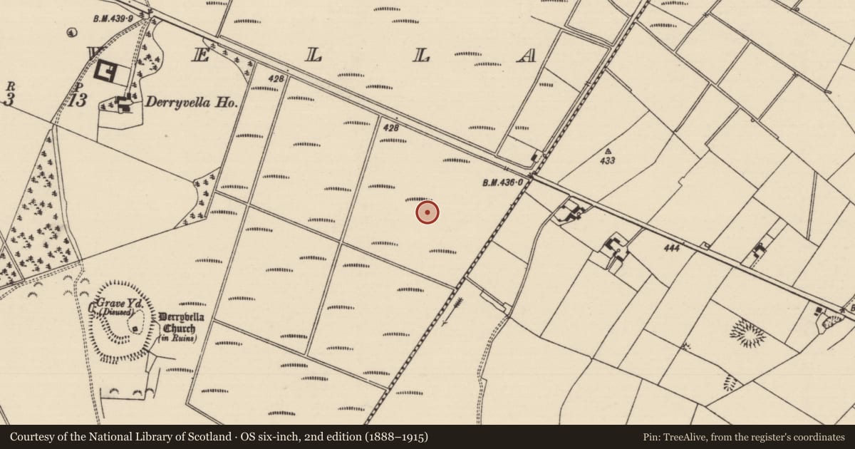 Ordnance Survey six-inch map, 2nd edition (1888–1915) covering the location of Structure - peatland, Derryvella, County Tipperary South, with a pin at the register's coordinates