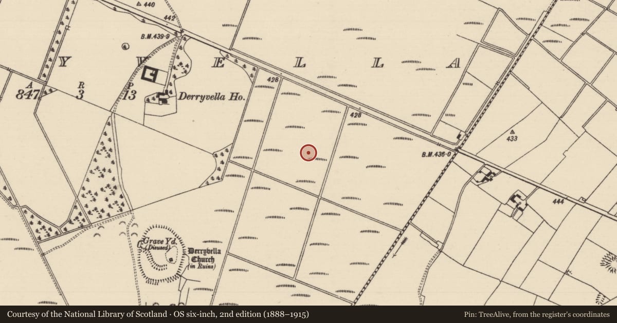 Ordnance Survey six-inch map, 2nd edition (1888–1915) covering the location of Structure - peatland, Derryvella, County Tipperary South, with a pin at the register's coordinates