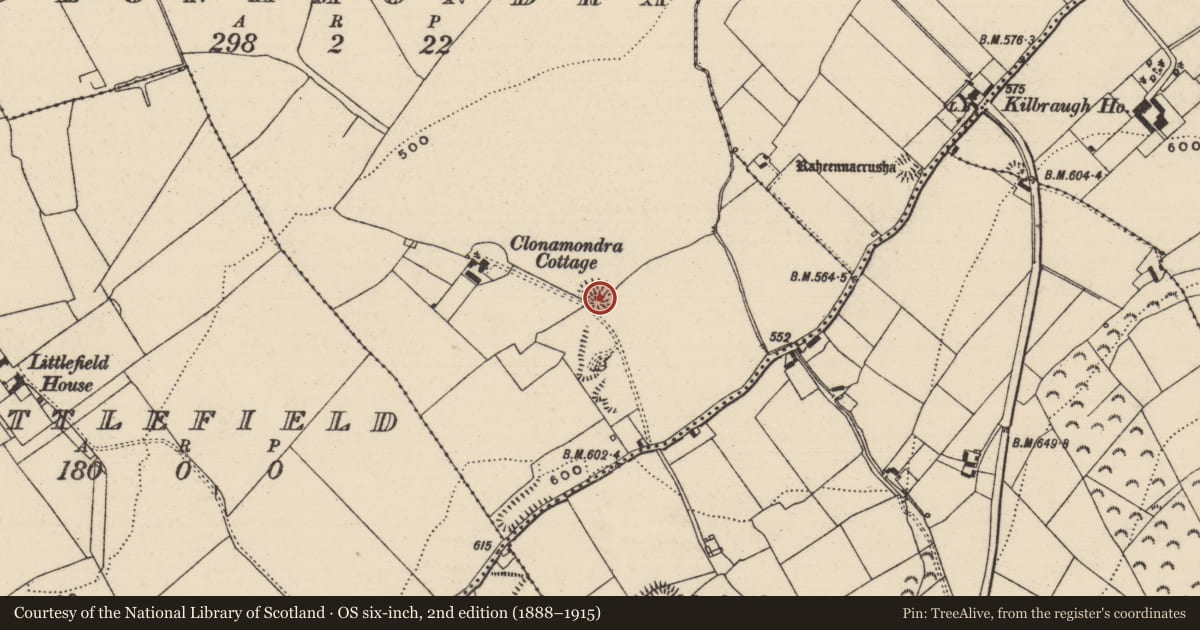 Ordnance Survey six-inch map, 2nd edition (1888–1915) covering the location of Castle - unclassified, Clonamondra, County Tipperary South, with a pin at the register's coordinates