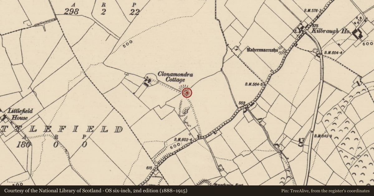 Ordnance Survey six-inch map, 2nd edition (1888–1915) covering the location of Bawn, Clonamondra, County Tipperary South, with a pin at the register's coordinates